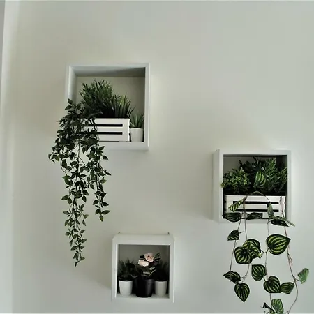 Casa Della Cattedrale Asti