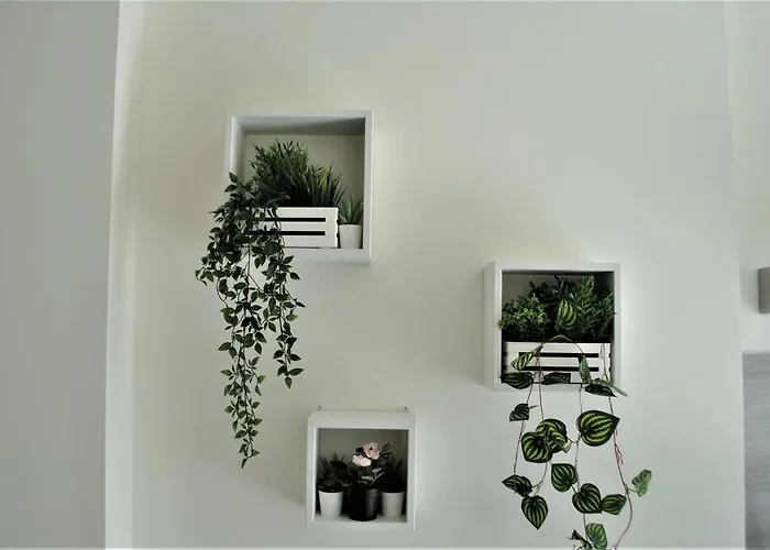 Casa Della Cattedrale Asti